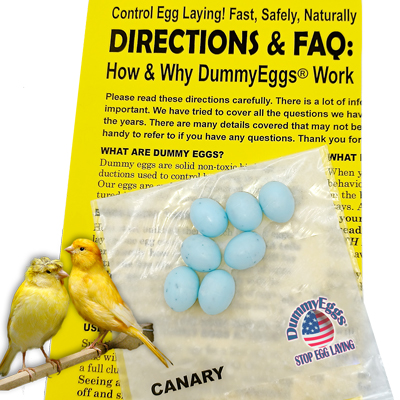 Picture shows 7 Blue-Green Speckled plastic Dummy Eggs for Canary with How To Directions.