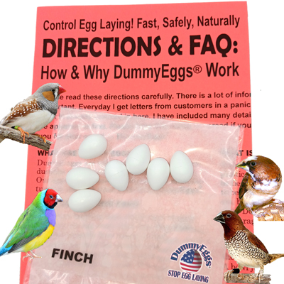 Finch dummy eggs with 4 finches birds shown 7 plastic eggs printed Instructions