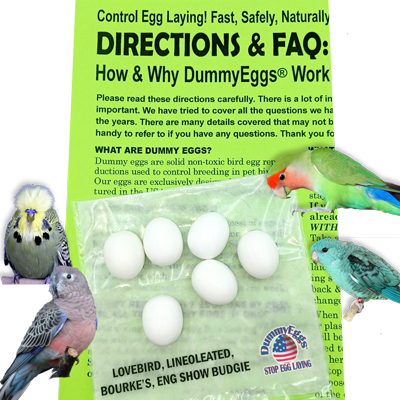 Dummy eggs Lovebirds, Lineoleated Parakeets Bourke's English Show Budgies birds directions and plastic eggs