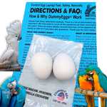 DummyEggs for Large Parrots Macaw, Hyacinth Umbrella Cockatoo. Birds Solid Plastic Eggs & Instructions