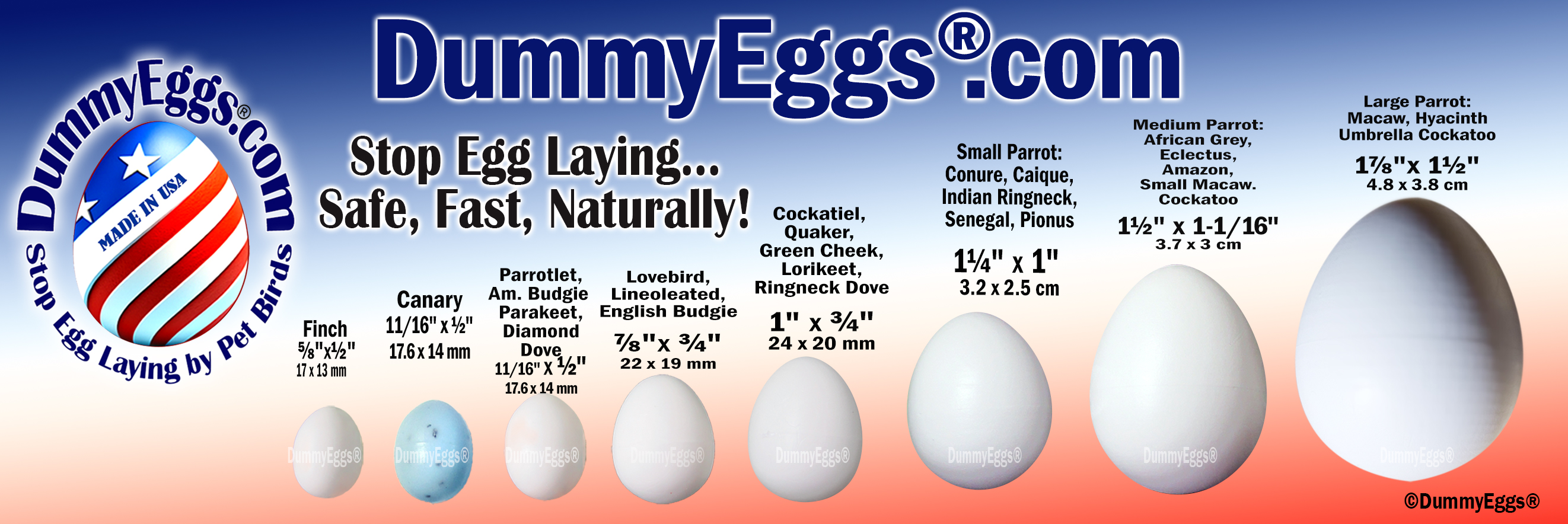 DummyEggs.com heading row of plastic dummy eggs from small to large