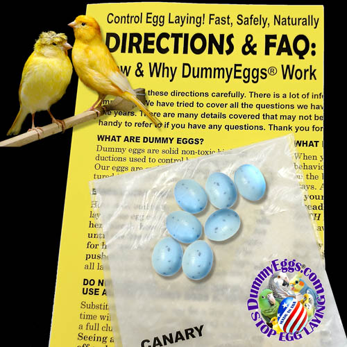 Plastic dummy eggs for Canary featuring images of eggs, birds, and directions, designed to deter egg laying
