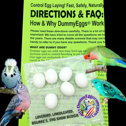Plastic dummy eggs for Lovebirds and Lineoleated Parakeets featuring images of eggs, birds, and directions, designed to deter egg laying