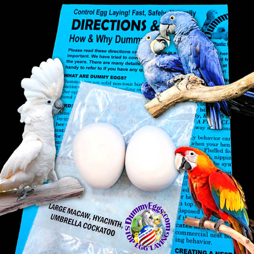 a pair of Hyacinth macaws, a scarlet macaw, and a large white Cockatoo perched on branches, two large white eggs, against a backdrop of a colorful brochure about dummy bird eggs.