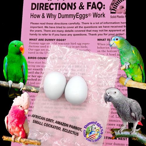 Plastic dummy eggs for African Grey, Eclectus, Amazon and other medium parrots featuring images of eggs, birds, and directions, designed to control egg laying