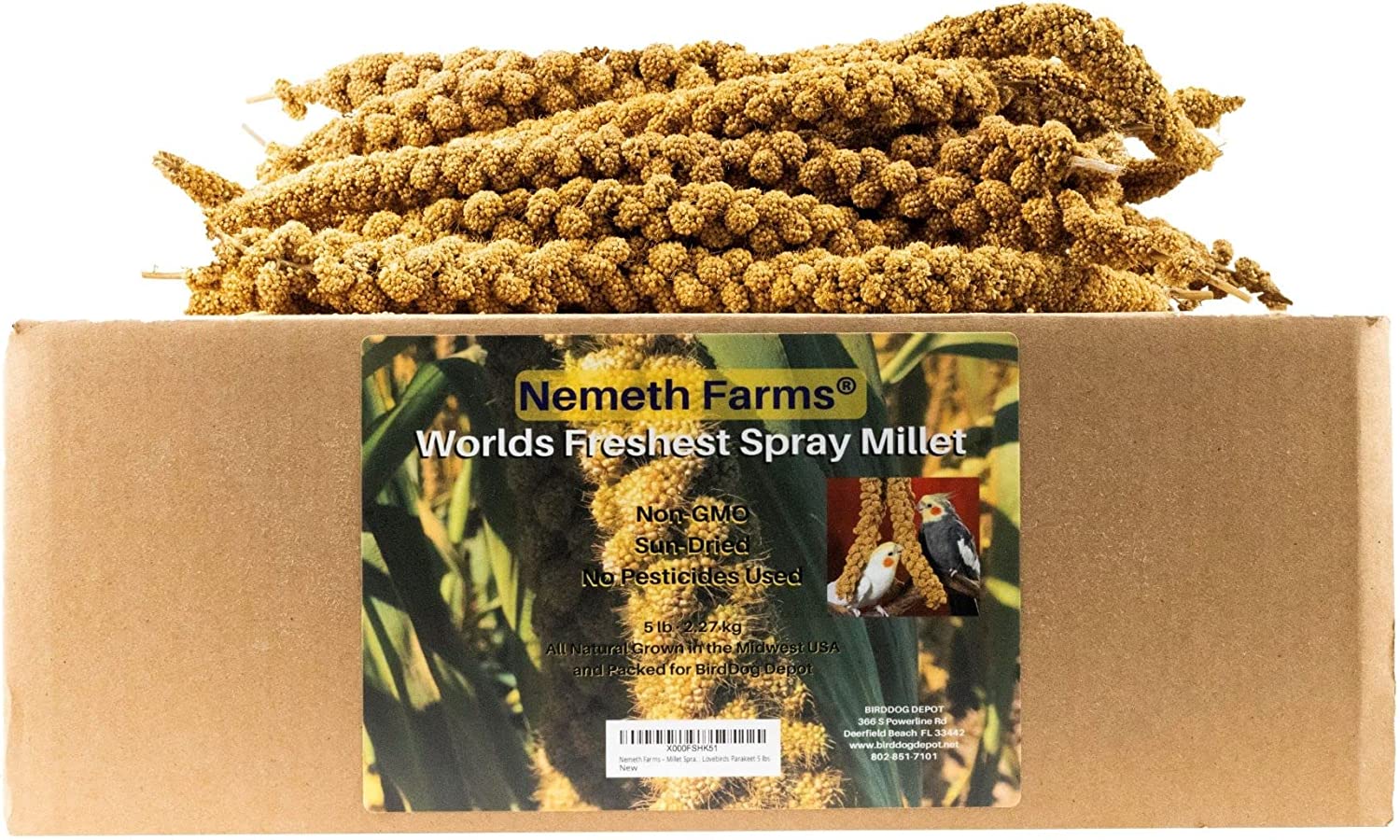 Big fresh Spray Millet by Nemeth Farms shown in 5 pound box
