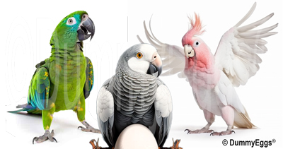 cartoon of dancing gallah cockatoo with white body and pink head and crest, african gray and green amazon parrot
