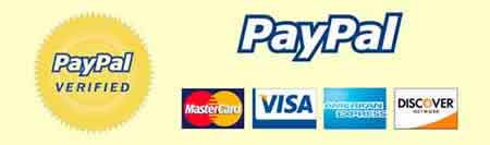 DummyEggs.com accepts all major credit cards and PayPal. PayPal logo.