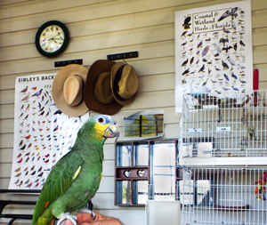 Paulie stands in front of a wall with bird song clock and 2 different wild bird identifying posters