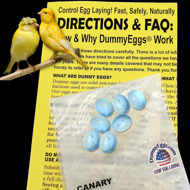 CANARY Plastic DummyEggs® with images of eggs, birds and directions