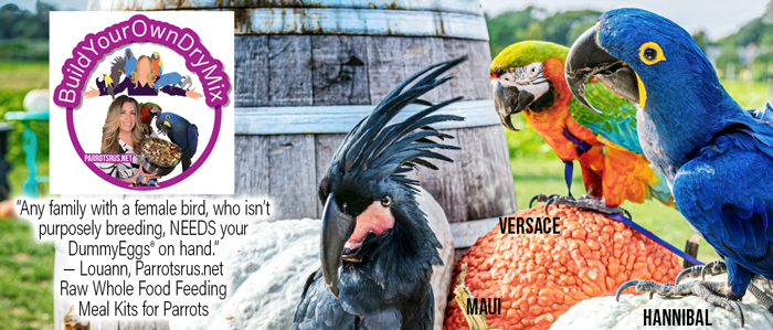 logo of ParrotsRUs.net with Black Palm Cockatoo, Harlequin Macaw, and Hyacinth Macaw outside standing on a barrel with quote endorsing dummyeggs.com. Company sells freeze dried bird foods and more