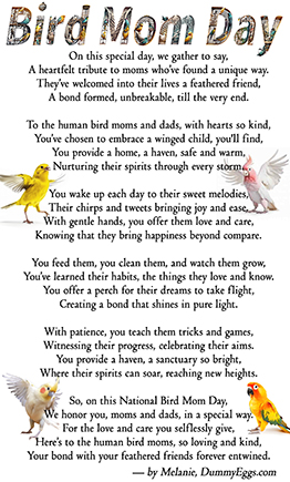 A poster titled Bird Mommy Day features a poem honoring bird mothers with illustrations of various birds perched around and within the text, such as a galah cockatoo and a canary, set on a white background with floral accents.
