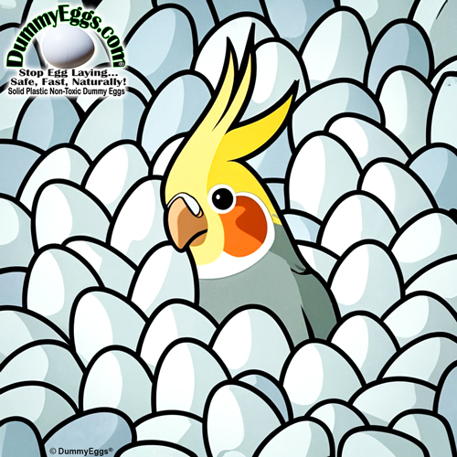 A cartoon illustration of a vibrant cockatiel peeking out from a sea of uniform white eggs. the cockatiel has a bright yellow crest, orange cheeks, and a playful expression.