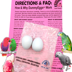 DummyEggs African Grey Eclectus Amazon Cockatoo Macaw Birds plastic eggs instructions