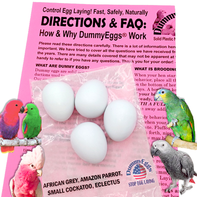 Solid Plastic Dummy Egg for African Grey, Eclectus, Amazon, Cockatoo or Small Macaw