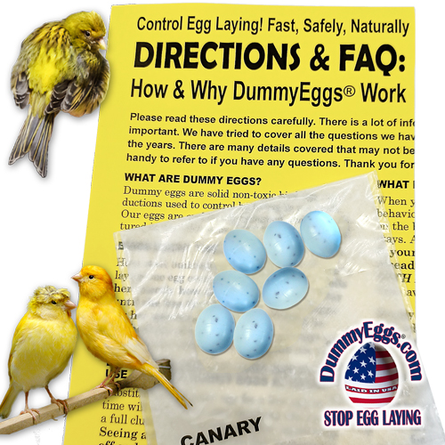 CANARY 7 Blue Green Speckled plastic DummyEggs Canary FAKE eggs 3 yellow canaries DummyEggs logo DIRECTIONS printed yellow as background