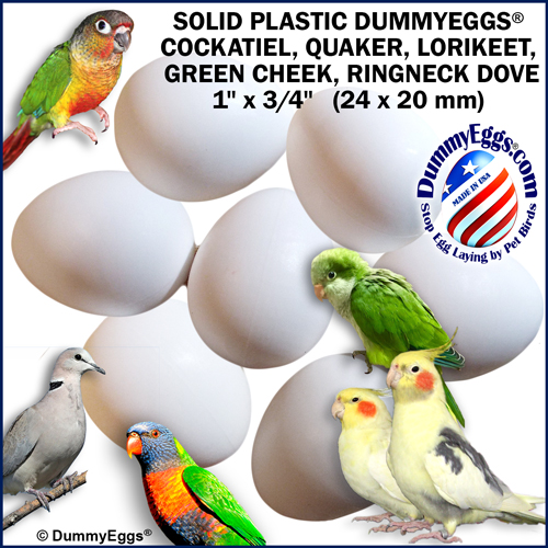 7 white dummy eggs surrounded by a Cockatiel, Quaker Parrot, Lorikeet, Green Cheek Conure & Ringnecked Dove. Dimensions 1" x 3/4" / 24 x 20mm. DummyEggs.com logo.