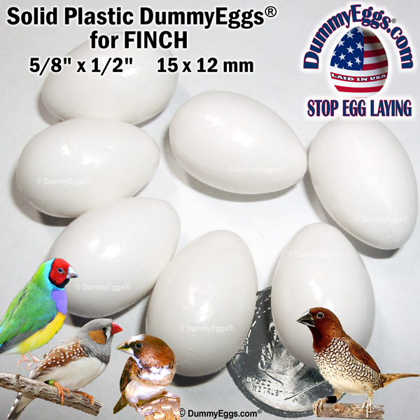7 white plastic Budgie eggs with a dime in the center for scale. On the right a beautiful green and yellow american budgie parakeet and on the left a grey Diamond Dove with red eye ring and 3 multicolored Parrotlets below. Also shown are the DummyEggs.com logo,  and the 1/2" x 11/16" dimensions.