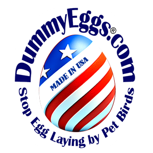 DummyEggs.com logo type in circle red white and blue flag over egg