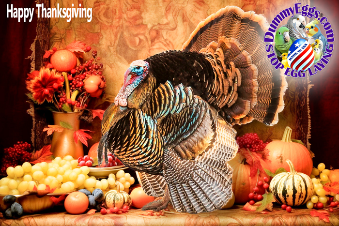 A Vibrant Thanksgiving Turkey Display Surrounded by Autumn Fruits and Festive Decorations for a Joyful Holiday Celebration. Generative AI