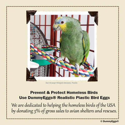 We are dedicated to helping the homeless birds of the USA by donating 3% of gross sales to avian shelters and rescues