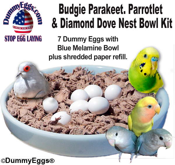 Dummy eggs made for American Parakeet Budgie, Parrotlet  and Diamonddove. 3/4" solid plastic eggs.