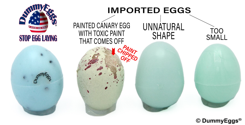 4 different plastic canary eggs shown side by side. 1st perfectly reproduced canary egg by DummyEggs.com. Second, imported painted plastic, third too big and oddly shaped, 4th too small.