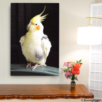 Beautiful Yellow Pied Lutino Cockatiel on large wrapped canvas hung on wall in front of table