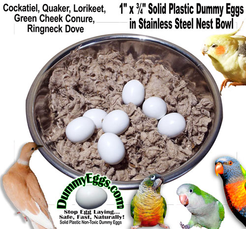 Bird Nest Bowl Kit with Plastic Dummy Eggs for Cockatiel, Quaker, Lorikeet, Ringneck Dove & Green Cheek Conure