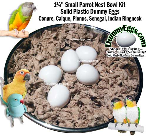 Solid Plastic SMALL PARROT DUMMY EGGS in Stainless Steel Nest Bowl fits Conure Eggs, Caique Eggs, Rosella Eggs, Pionus Eggs, Senegal Eggs, Jardine Eggs, Indian Ringneck Eggs. Stop Egg Laying!