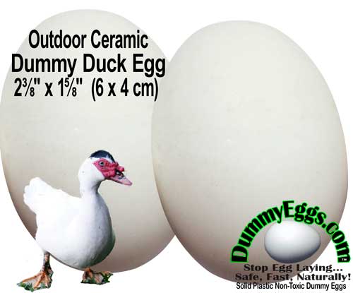 Ceramic Outdoor Dummy Duck Eggs to Replace Live Eggs. These don't hatch.
