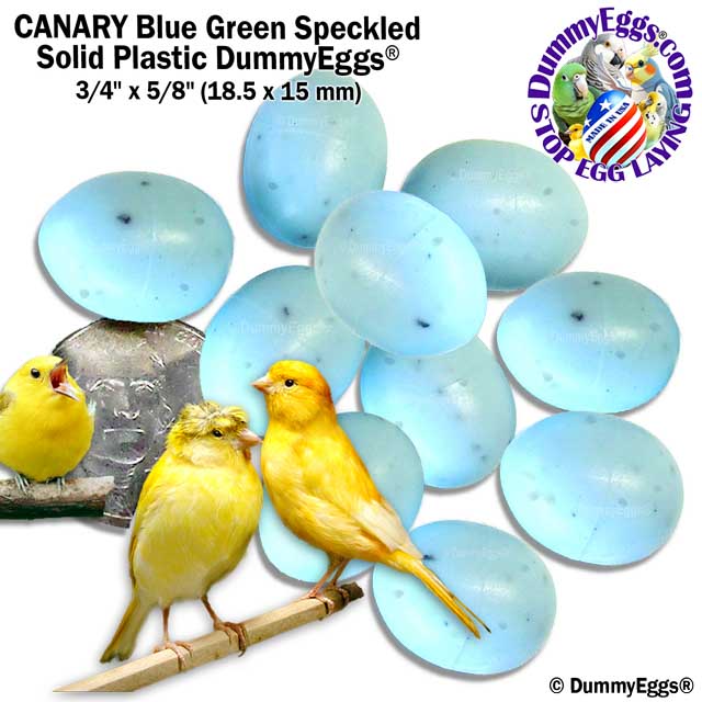 Two yellow canaries perch on branches above ten blue-green speckled plastic bird eggs. The text reads CANARY Blue Green Speckled Solid Plastic DummyEggs 3/4 x 5/8 inch (18.5 x 15 mm) with a company logo.