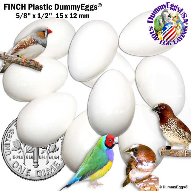 Finch plastic DummyEggs, each 5/8 x 1/2 inch (15 x 12 mm), are shown in white against a white background. A U.S. dime reflects their size. Various finch species, including a zebra finch and a Gouldian finch, appear around the eggs. Logos and text advertise Stop Egg Laying and DummyEggs.