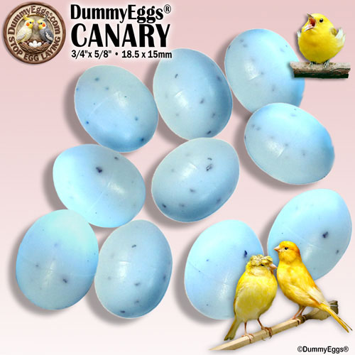 Two yellow canaries perch on branches above ten blue-green speckled plastic bird eggs. The text reads CANARY Blue Green Speckled Solid Plastic DummyEggs 3/4 x 5/8 inch (18.5 x 15 mm) with a company logo.