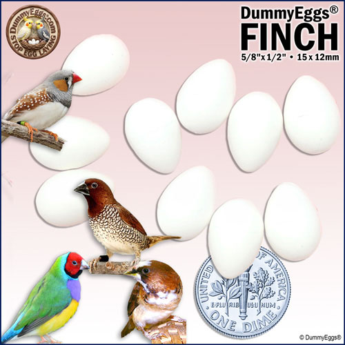 Finch plastic DummyEggs, each 5/8 x 1/2 inch (15 x 12 mm), are shown. A U.S. dime reflects their size. Various finch species, including a zebra finch and a Gouldian finch, appear around the eggs. Logos and text advertise Stop Egg Laying and DummyEggs.