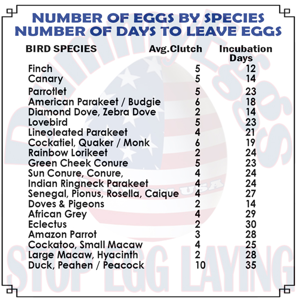 Incubation Chart for Pet Bird Species