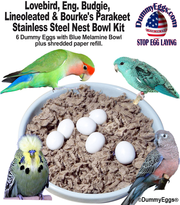 Dummy eggs made for Lovebirds, Lineoleated Parakeets, Bourke's Parakeets, & English Show Budgies. 7/8" solid plastic eggs.