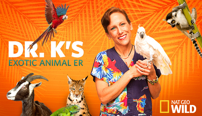 Dr. Susan Kelleher, Broward Avian & Exotic Animal Hospital recommend DummyEggs.com