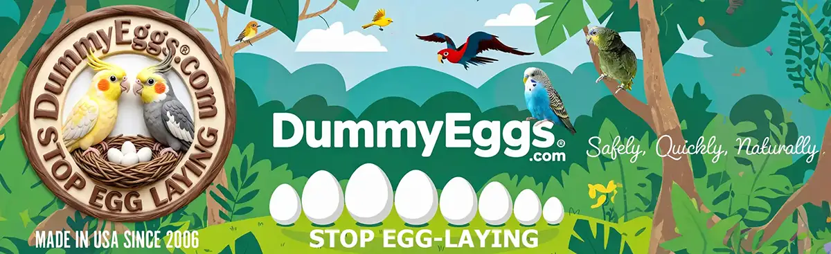DummyEggs.com banner with two cockatiels inside an illustrated tropical forest with a flying macaw, a Budgie, Canary, and other birds, large bold type with DummyEggs.com
