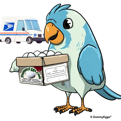Cute parakeet holding a cartoon of eggs delivered by usps truck cartoon