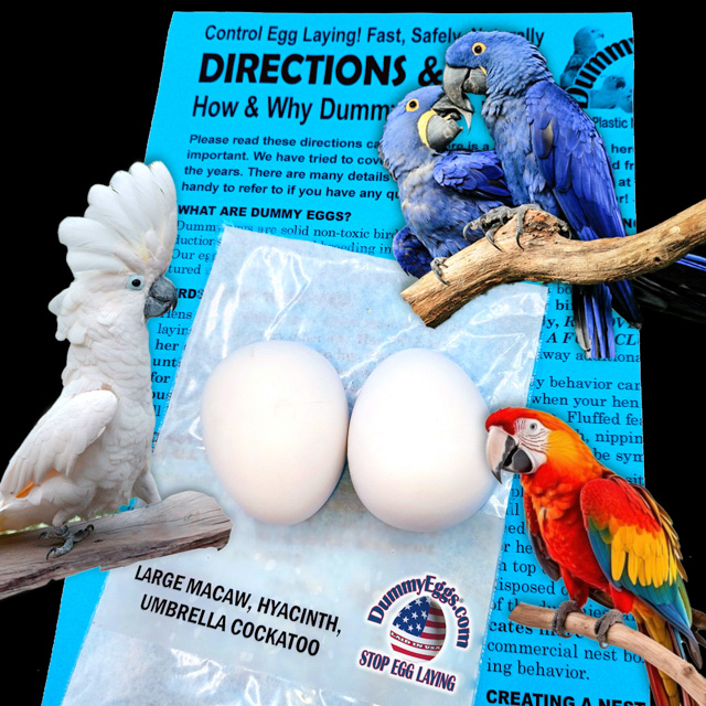 LARGE PARROT Plastic DummyEggs® with images of eggs, birds and directions